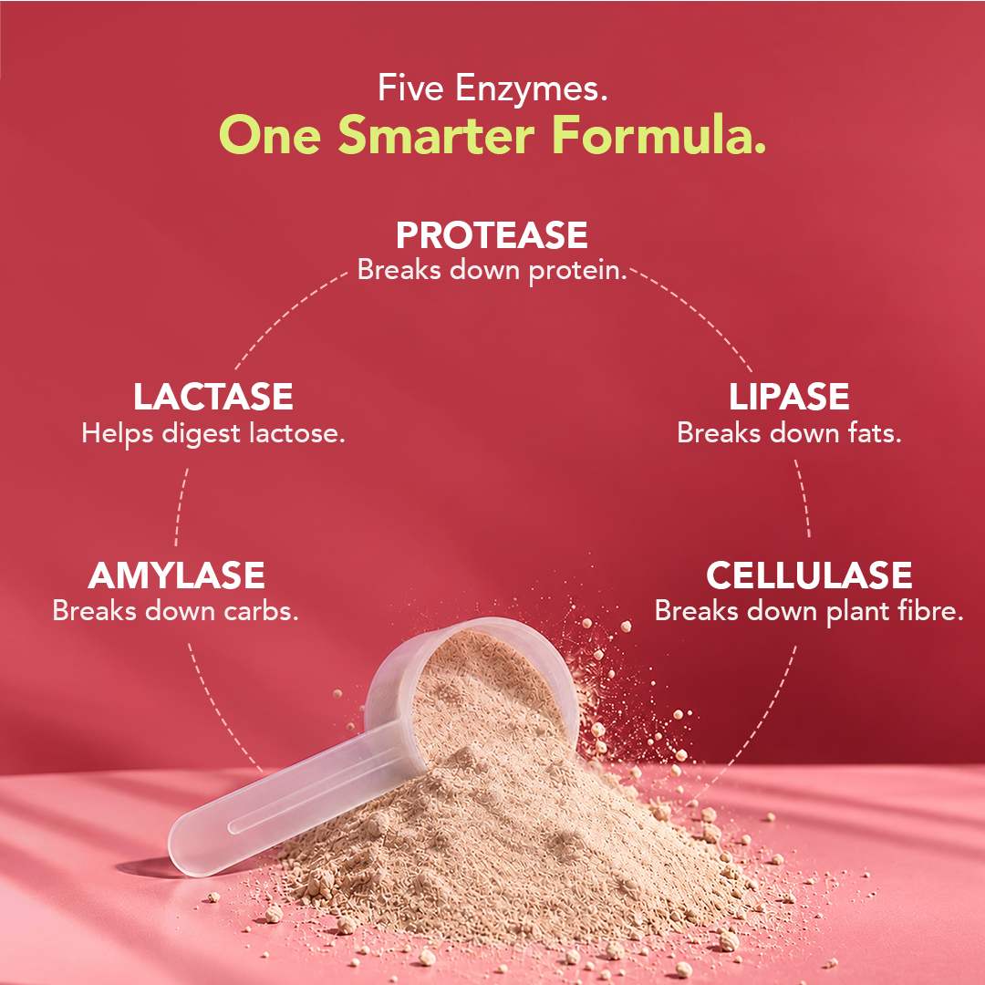 NoFuss Whey Protein - Dreamy Chocolate Delight